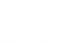 ALJ Antiques